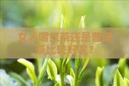 女人喝红茶还是普洱茶比较好呢？