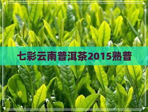 七彩云南普洱茶2015熟普