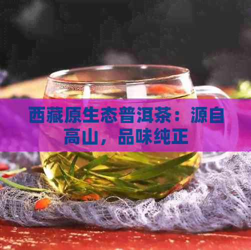      原生态普洱茶：源自高山，品味纯正