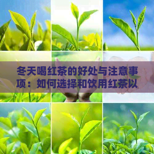 冬天喝红茶的好处与注意事项：如何选择和饮用红茶以保持健？