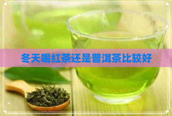 冬天喝红茶还是普洱茶比较好