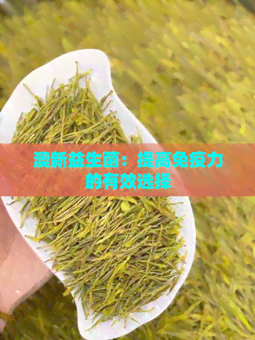 澳新益生菌：提高免疫力的有效选择