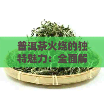 普洱茶火烧的独特魅力：全面解析其功效与作用