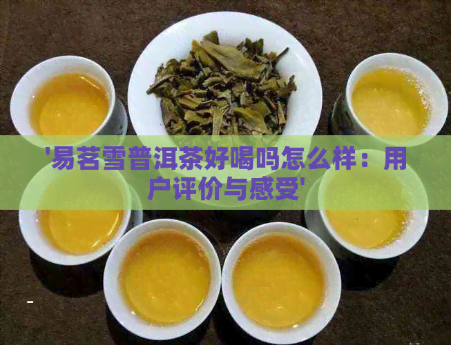 '易茗雪普洱茶好喝吗怎么样：用户评价与感受'