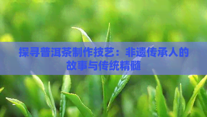 探寻普洱茶制作技艺：非遗传承人的故事与传统精髓