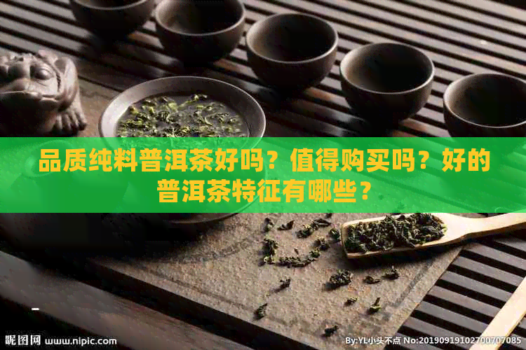 品质纯料普洱茶好吗？值得购买吗？好的普洱茶特征有哪些？