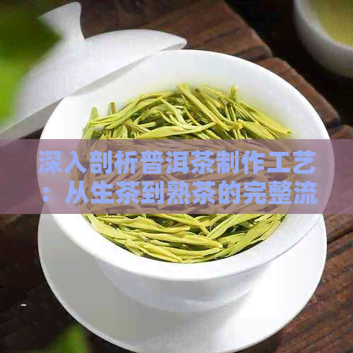 深入剖析普洱茶制作工艺：从生茶到熟茶的完整流程详解