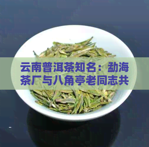 云南普洱茶知名：勐海茶厂与八角亭老同志共同打造的高品质茶叶产品