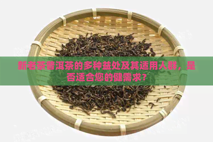 新老茶普洱茶的多种益处及其适用人群，是否适合您的健需求？