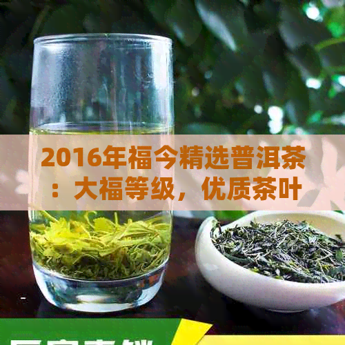 2016年福今精选普洱茶：大福等级，优质茶叶新体验