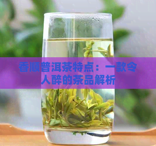 香顺普洱茶特点：一款令人醉的茶品解析