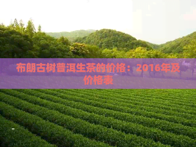 布朗古树普洱生茶的价格：2016年及价格表