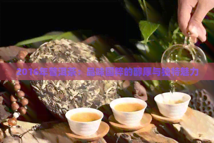 2016年普洱茶：品味国粹的醇厚与独特魅力