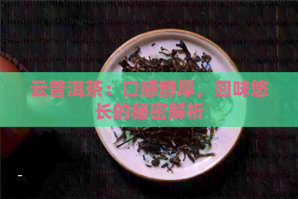 云普洱茶：口感醇厚，回味悠长的秘密解析