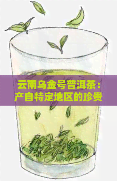 云南乌金号普洱茶：产自特定地区的珍贵原料解析与探寻