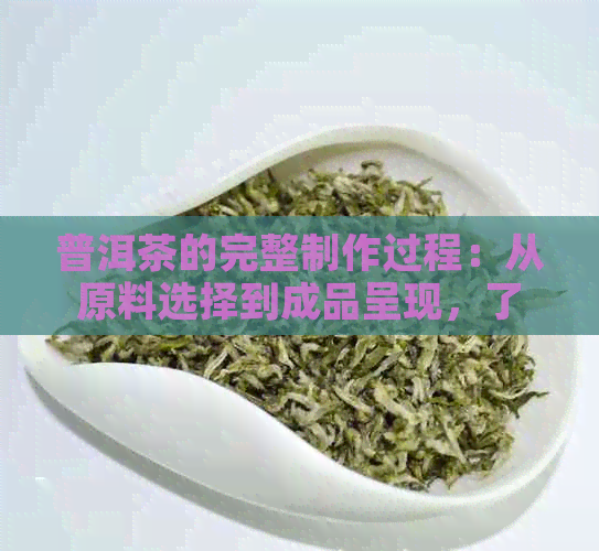 普洱茶的完整制作过程：从原料选择到成品呈现，了解所有关键工序与技巧