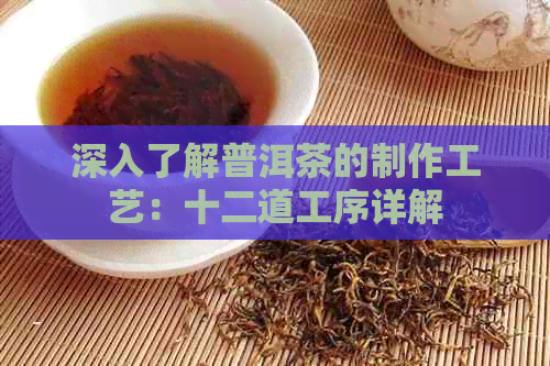 深入了解普洱茶的制作工艺：十二道工序详解