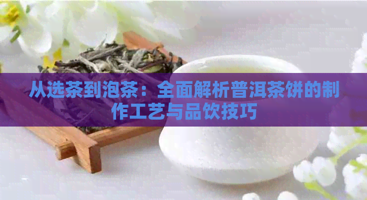 从选茶到泡茶：全面解析普洱茶饼的制作工艺与品饮技巧