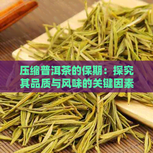 压缩普洱茶的保期：探究其品质与风味的关键因素