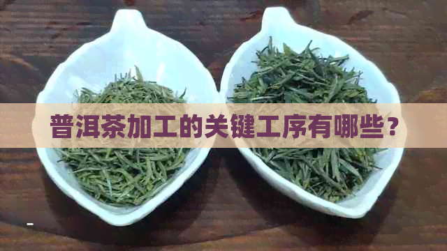 普洱茶加工的关键工序有哪些？