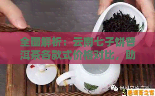 全面解析：云南七子饼普洱茶各款式价格对比，助您轻松选购！