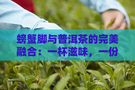 螃蟹脚与普洱茶的完美融合：一杯滋味，一份健