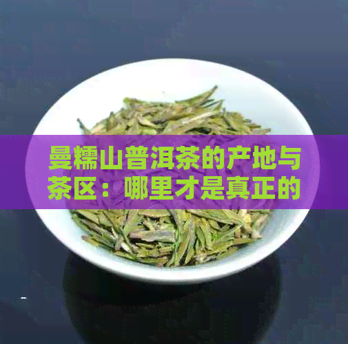 曼糯山普洱茶的产地与茶区：哪里才是真正的曼糯山？