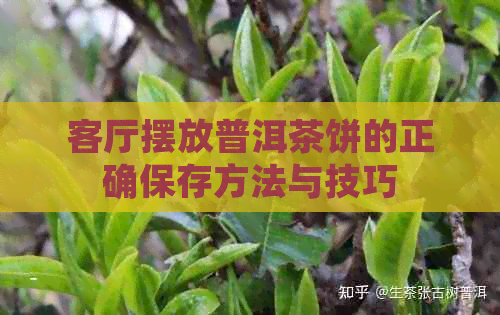 客厅摆放普洱茶饼的正确保存方法与技巧