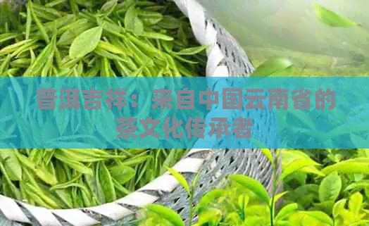 普洱吉祥：来自中国云南省的茶文化传承者