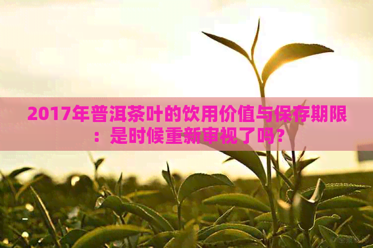 2017年普洱茶叶的饮用价值与保存期限：是时候重新审视了吗？