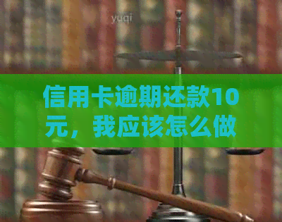 信用卡逾期还款10元，我应该怎么做？全面指南解决你的疑惑！