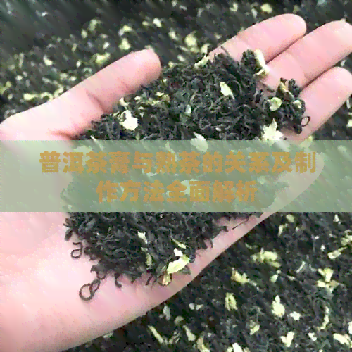 普洱茶膏与熟茶的关系及制作方法全面解析