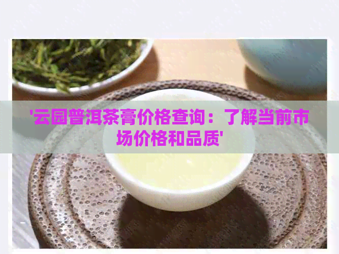 '云园普洱茶膏价格查询：了解当前市场价格和品质'