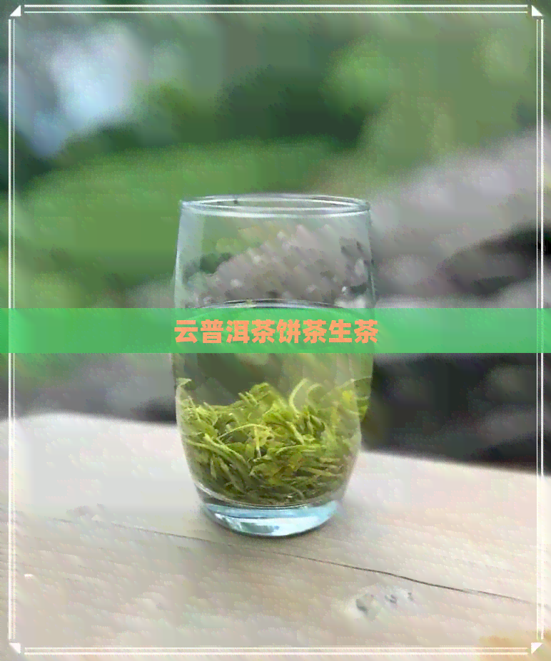 云普洱茶饼茶生茶