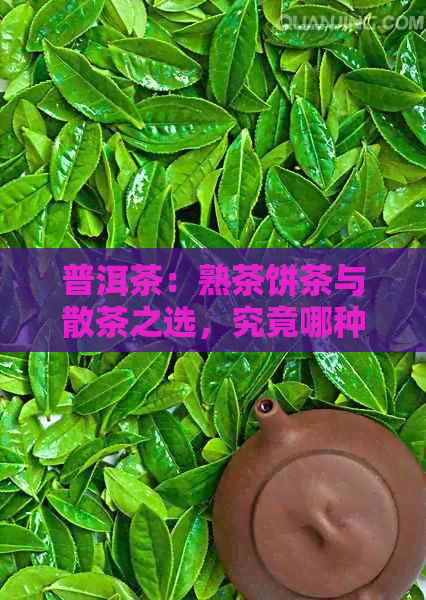 普洱茶：熟茶饼茶与散茶之选，究竟哪种更胜一筹？