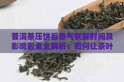 普洱茶压饼后香气恢复时间及影响因素全解析：如何让茶叶保持香气