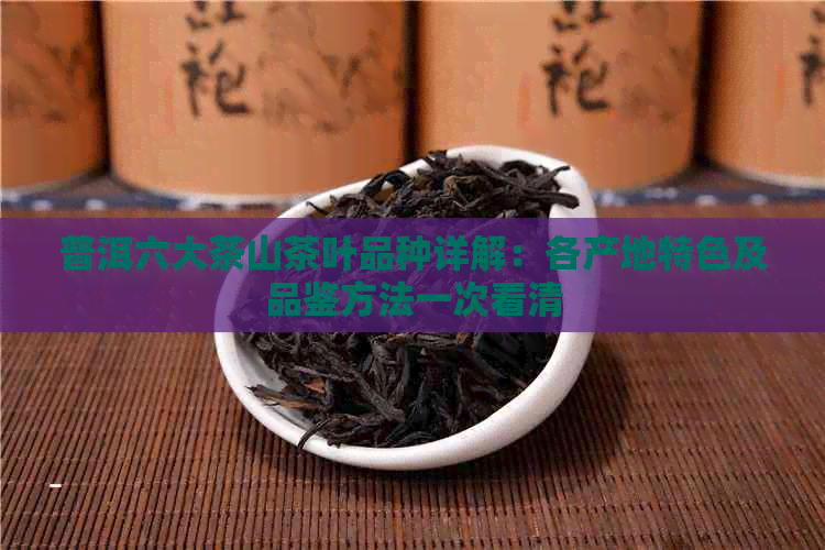 普洱六大茶山茶叶品种详解：各产地特色及品鉴方法一次看清