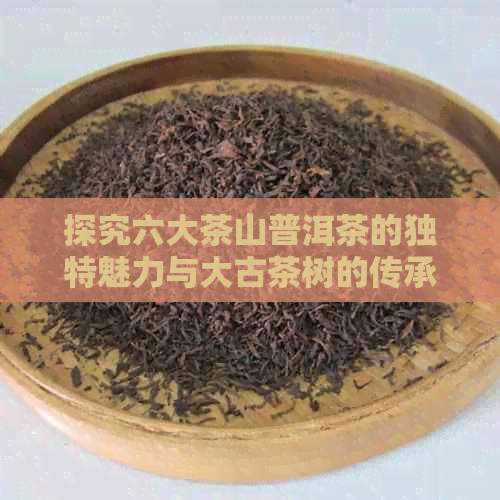 探究六大茶山普洱茶的独特魅力与大古茶树的传承历