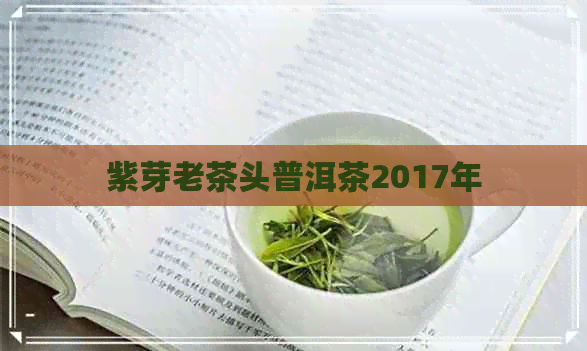 紫芽老茶头普洱茶2017年