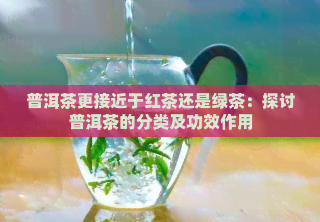 普洱茶更接近于红茶还是绿茶：探讨普洱茶的分类及功效作用