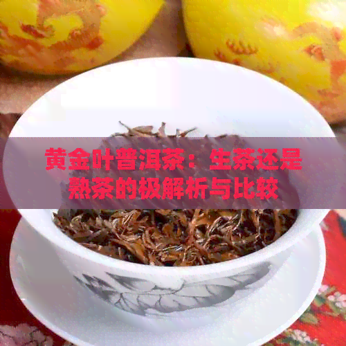 黄金叶普洱茶：生茶还是熟茶的极解析与比较