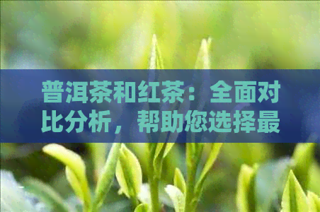 普洱茶和红茶：全面对比分析，帮助您选择最适合您的茶叶