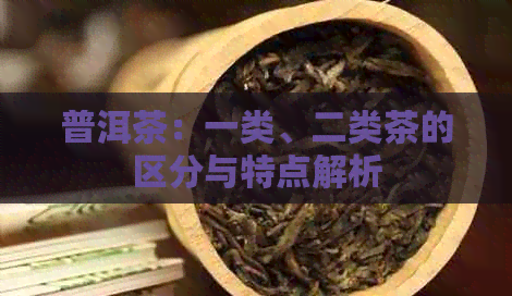 普洱茶：一类、二类茶的区分与特点解析