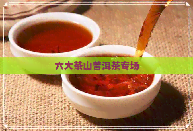 六大茶山普洱茶专场