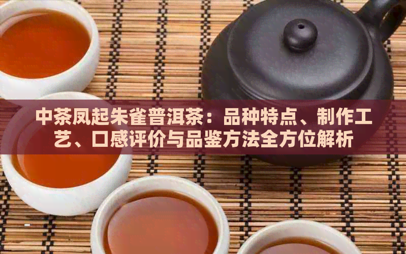 中茶凤起朱雀普洱茶：品种特点、制作工艺、口感评价与品鉴方法全方位解析