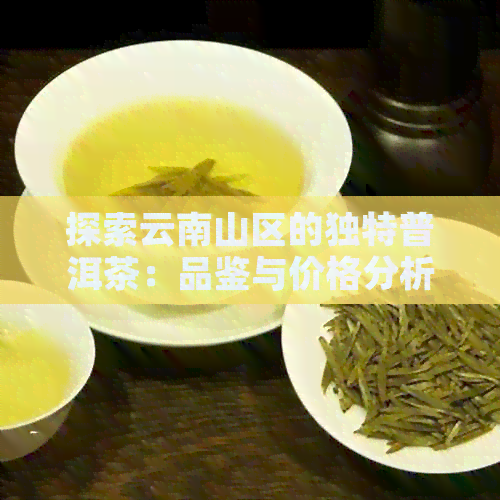 探索云南山区的独特普洱茶：品鉴与价格分析