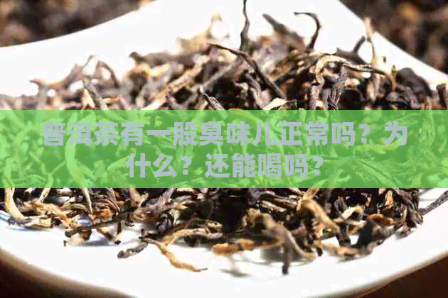 普洱茶有一股臭味儿正常吗？为什么？还能喝吗？