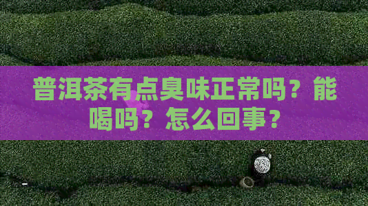 普洱茶有点臭味正常吗？能喝吗？怎么回事？