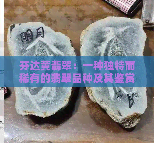 芬达黄翡翠：一种独特而稀有的翡翠品种及其鉴赏指南