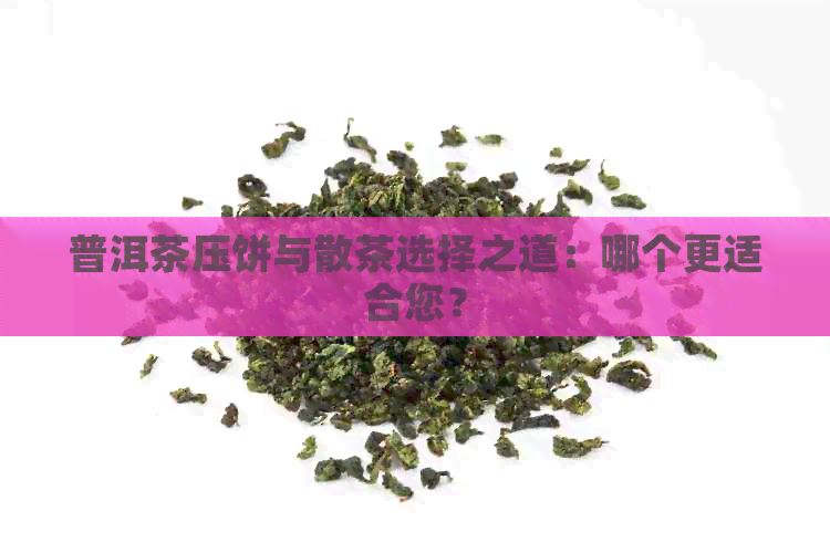 普洱茶压饼与散茶选择之道：哪个更适合您？